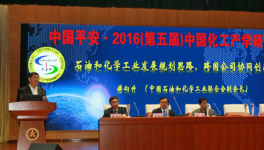 石化聯合會傅向升副會長與會探討跨國公司協同創(chuàng)新情況