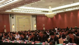 廣東省涂料行業(yè)協(xié)會(huì)榮獲“2016年度優(yōu)秀社會(huì)組織”獎(jiǎng)