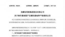 鈦白粉龍頭龍蟒佰利聯(lián)限產(chǎn)四個(gè)月！ 