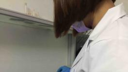 脂肪含量檢測儀快速檢測植物油、肉類、米、面、堅果、飼