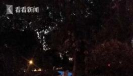 自帶導(dǎo)航系統(tǒng) 滬上首條熒光綠道在閔行落成