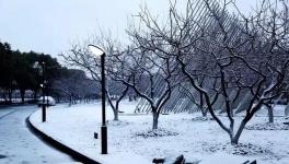 緊急:大雪封路！多省物流放假停運(yùn)！