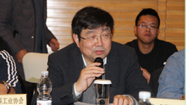 氧化鐵行業(yè)分會(huì)及2019年理事會(huì)工作會(huì)議成功召開(kāi)