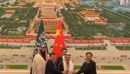 700億元！最大中外合資企業(yè)化工項(xiàng)目落地！