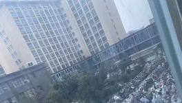 辟謠！20000人確診不實(shí)！企業(yè)集體放假！