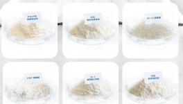 高效上粉、耐候穩(wěn)定！中山偉祥助力粉末涂料高質(zhì)量發(fā)展！