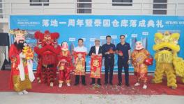 加速國際化布局，集泰股份打造“出海”新標桿