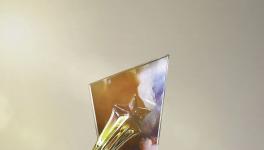 中國品牌實力！三棵樹獲“2024國民品牌優(yōu)秀案例”