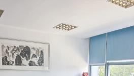 攜手共促發(fā)展！揚(yáng)子新材攻克多行業(yè)技術(shù)與工藝難題！