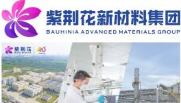 解碼綠色涂料標(biāo)桿！紫荊花將全方位呈現(xiàn)智能化！ 