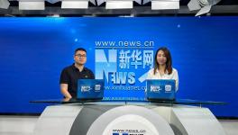 8小時(shí)“馬上住”新家？三棵樹的底氣來源于哪里？