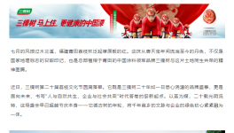 千年荔韻啟新章！三棵樹第二十屆荔枝文化節(jié)圓滿落幕        