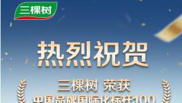 三棵樹(shù)入選“中國(guó)品牌國(guó)際化標(biāo)桿100”  