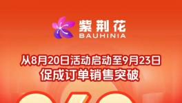 金九銀十加倍送！紫荊花全國聯(lián)動(dòng)活動(dòng)掀起煥新熱潮！