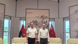 三棵樹亞非萬里行：以系統(tǒng)性布局領航全球化新篇