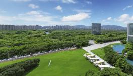 解鎖“中國漆”向新力——三棵樹的產(chǎn)業(yè)升級之路