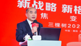 三棵樹董事長兼總裁洪杰：企業(yè)要回應(yīng)年輕消費者的期待