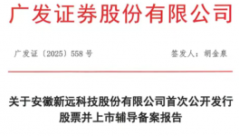 1人死亡！環(huán)保處罰51萬！安徽新遠(yuǎn)要IPO！