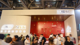 洗牌加速！三棵樹小森板憑 “好漆好板好空間”殺出重圍