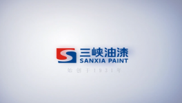 重慶三峽油漆股份有限公司：渝三峽A完成董事會換屆