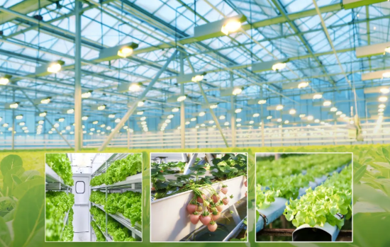 睿智水培卷材涂料：零甲醛零VOC，飲用水級環(huán)保涂層