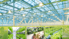 睿智水培卷材涂料：零甲醛零VOC，飲用水級(jí)環(huán)保涂層